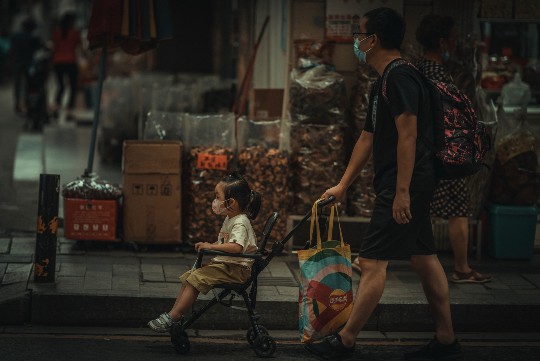 防风与石膏，解锁古老药材的现代健康密码