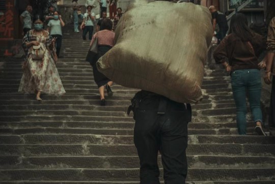 最新推荐，有效祛除体内湿气的中药全解析