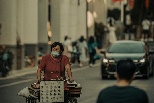 揭秘乌树叶，神奇功效与全面作用解析